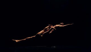 radius cubitus Nicolas Barreau2