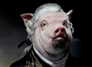 CieLesBestioles la ferme des animaux